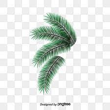 Green Vector Palm Leaves Png And Psd Palm Leaves Green Trees Tree Clipart