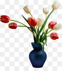 Choose from 1400+ flower vase graphic resources and download in the form of png, eps, ai or psd. Flower Vase Png Flower Vase Cartoon Flower Vase Painting Flower Vase Drawing Flower Vase Illustration Flower Vase On Table Empty Flower Vase Flower Vase Silhouette Flower Vase Single Flower Open Flower Vase Flower Vase Clipary Art Flower Vase Flower