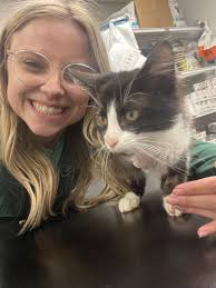 Dr. Diarra Blue from Cy-Fair Animal Hospital and The Vet Life