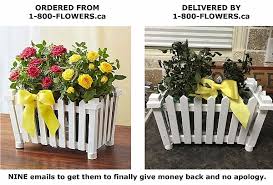 Get free delivery on flowers, plants, and more. 1800flowers Ca Reviews 20 Reviews Of 1800flowers Ca Sitejabber