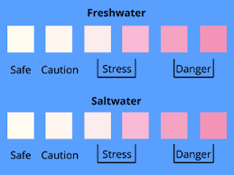 Maintaining Water Quality And The Ideal Aquarium Temperature