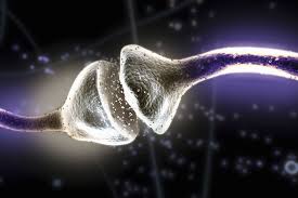 Once the neurotransmitter has had the designed effect, its activity can be stopped by three. Neurotransmitters Definition And List