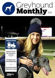 If you are looking for a friendly, gentle dog with plenty of love to give, a greyhound may be perfect for you. Greyhound Monthly Victoria Issue 29 By Greyhound Racing Victoria Issuu