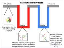 pasteurization wikipedia