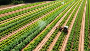 Image result for Agricultural Yellow 2000 Fleet