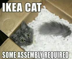 Cat Memes: Just Cuz Edition - Ikea - Wattpad