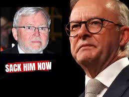 Albo is a Joke THE ORIGINAL!!!