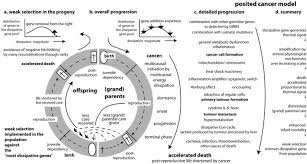 Weak points of cancer in the career field cancerians are inconstant, passive, tormented, hypersensible cancerians are very dependent on their emotions and feelings, their work is erratic as well as their assiduity. Cancer Is An Adaptation That Selects In Animals Against Energy Dissipation Sciencedirect