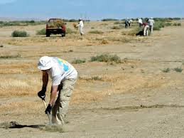 Central California Soaring Association: June 2014