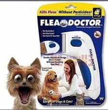Dog Comb Flea Doctor at ₹ 60/piece | Flea Doctor Electric Comb in New Delhi  | ID: 22536082833