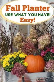 Check spelling or type a new query. Fall Planter Reuse Your Grasses Momcrieff