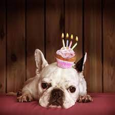 quotations birthday happy birthday birthday messages