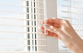 I occasionally see a cat who likes to chew plastic. Protect Your Blinds From Dog Cat Pet Damage Blinds Hut