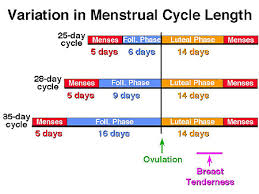 Calendar Method Is It Safe How