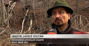 Jun 10, 2021 · a lengyel vendégérkezések 60 százaléka, míg a vendégéjszakáik 80 százaléka köthető vidéki úti célokhoz. Es Eletre Kel Az Erdo Lengyel Laszlo Zoltan Erdomernok A Vezetett Erdei Turakrol Orosz Ildiko Irasai