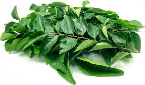 Khasiat daun kari untuk diabetes. Temukan Manfaat Obat Diabetes Herbal Dari Daun Kari