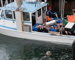 Check spelling or type a new query. The Chatham Fish Pier Captain Freeman Inn