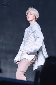 Seventeen에 있는 Mt님의 핀 팬덤 연예인 콘서트