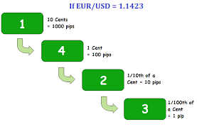 Pips Pipettes And Lots In Forex Forex Learn Forex Trading Forex Training