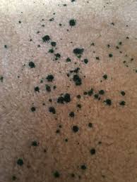Go over the stained area with a carpet cleaning solution to get rid of the last bits of wax and any stuck on dirt. How Can I Remove Clean Up Candle Wax From Carpet Hometalk