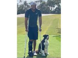 Senior lawyer at tee bee kim & partners. Look Golf Star Tiger Woods Shares First Photo Since Horror Car Crash Golf Gulf News