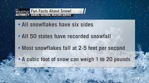 If you live in an area where you get a lot of snow every year, a snow plow can help you make short work of clearing out driveways, streets and roads. Did You Know Fun Facts About Snow Whnt Com