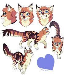 Whenever you're drawing a cat, use a reference! Commission Do Not Repost Warrior Cats Fan Art Warrior Cat Oc Cat Art