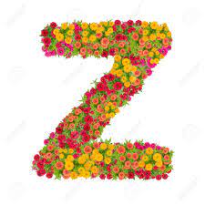 Only the badges were concealed. Letter Z Alphabet Made From Zinnia Flower Abc Concept Type As Logo Typography Design With Clipping Path Stock Photo Picture And Royalty Free Image Image 88173955