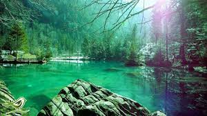 All 52 meditation music tracks are royalty free and ready for use in your project. Relaxing Sleep Music Deep Sleeping Music Relaxing Music Stress Relief Meditation Music Flying Youtube