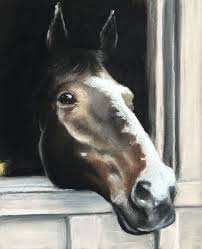 Maybe you would like to learn more about one of these? How To Draw A Horse Pastels
