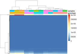 Image result for bioinformatics heatmap