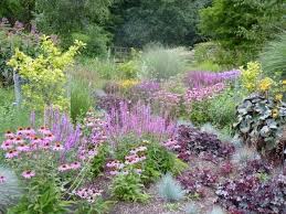 Bressingham Garden August Garden Checklist Country Cottage Garden Shade Flowers