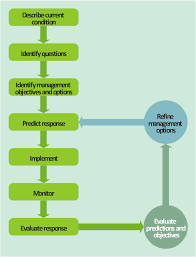 Acid Sulfate Soil Adaptive Management Framework Produce