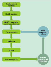 acid sulfate soil adaptive management framework produce