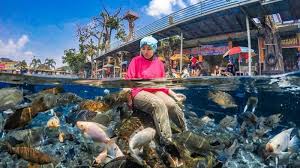 Tiket umbul sidomukti dengan harga rp. Harga Tiket Masuk Umbul Ponggok Terbaru Tempat Wisata Air Di Klaten Yang Populer Halaman All Tribun Travel