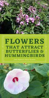 All great gardens have a high amount of diversity with many different plants the purpose of this is to attract pollinators. 5 Flowers That Attract Butterflies And Hummingbirds