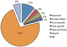 Pie Chart Representing The Specific Requirements For V