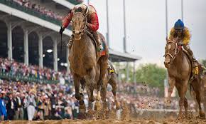 biggest field for belmont stakes since 1996