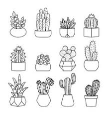 Cactus silhouettes illustrated on white background. Cactus Line Vector Images Over 9 000
