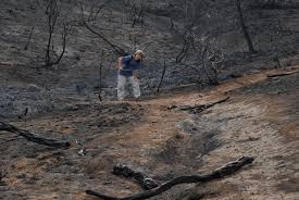 The chaparral brush fire started near the southwest edge of the la cresta community in riverside county and quickly grew to 1,200 on saturday, aug. Chaparral Fire Ecology
