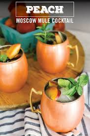 Pin On Moscow Mule Mixed Drinks