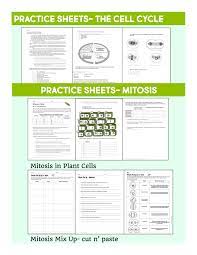 That's why we have entry tests for all applicants who want to work for us. Cell Division Reading Comprehension Worksheet Mitosis And Meiosis Science Answer Key Mitosis The Biology Corner Cell Division Mitosis And Meiosis Crossword Puzzle Resources Under
