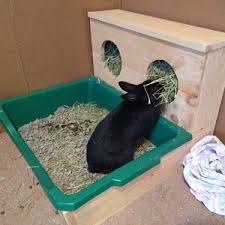 Maybe you would like to learn more about one of these? Pin On Diy Litter Box