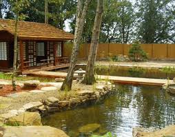 We did not find results for: Create A Natural Swimming Pool Rain Harvest