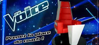 Ce sont les autres stars de the voice : The Voice Les Prochaines Dates De La Tournee Du Fauteuil De L Emission
