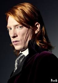 BILL WEASLEY su Harry Potter Enciclopedia