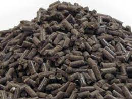 Membuat pupuk organik cair dari nasi basi, making liquid organic fertilizer from stale riceподробнее. Iklan Percuma Iklanlah Malaysia Iklan Percuma Malaysia Free Classified Iklaneka Percuma Untuk Warga Malaysia Pokok Hiasan Baja Organik Tahi Ayam Tayam Pallet