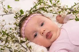 Imágenes de Gil, fotos de Gil sin royalties