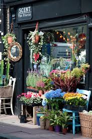 We would like to show you a description here but the site won't allow us. Aesthetic Sharer Zhr On Twitter Flower Shop