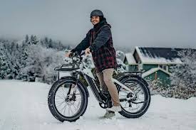 What is the best fat tire cruiser e-bike for riding on sand and ...